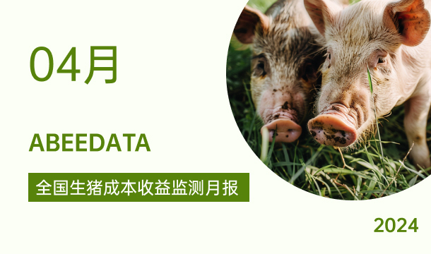 《农小蜂：全国生猪成本收益监测月报（2024年4月）》