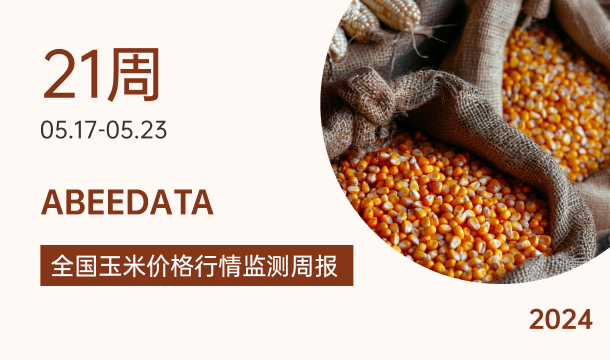 《农小蜂：全国玉米价格行情监测周报（2024年第21周）》