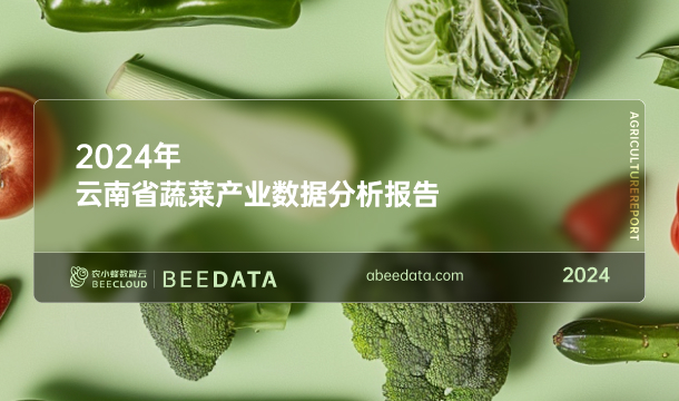 《农小蜂：2024年云南省蔬菜产业数据分析报告》