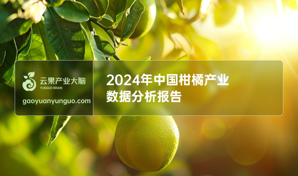 《云果：2024年中国柑橘产业数据分析报告》