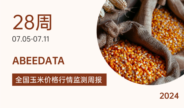 《农小蜂：全国玉米价格行情监测周报（2024年第28周）》