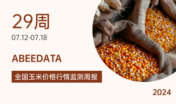 《农小蜂：全国玉米价格行情监测周报（2024年第29周）》