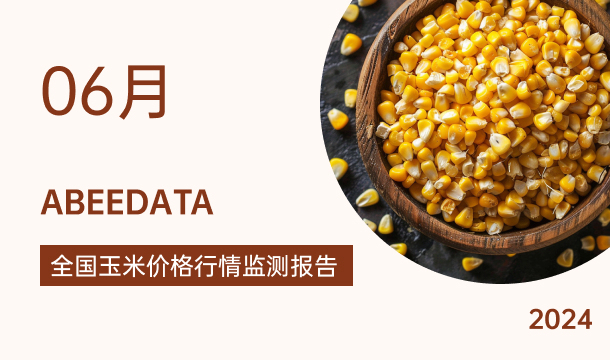 《农小蜂：全国玉米价格行情监测月报（2024年6月）》