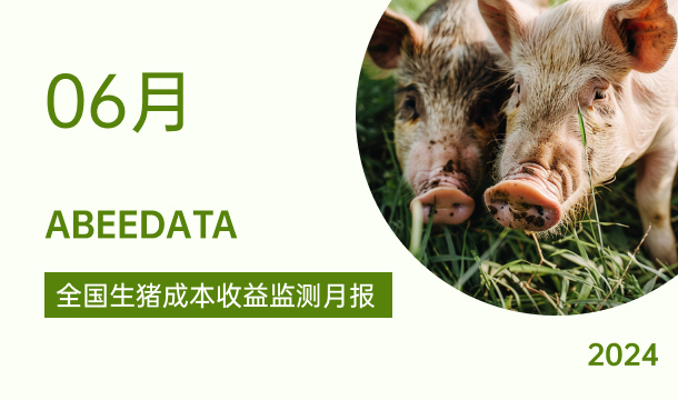 《农小蜂：全国生猪成本收益监测月报（2024年6月）》