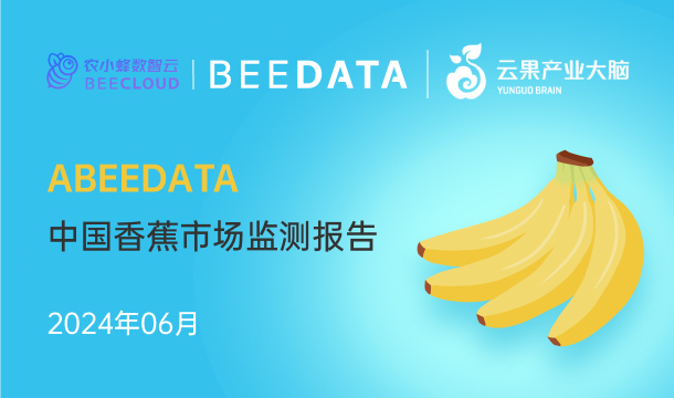 《农小蜂：中国香蕉市场动态监测（2024年6月）》